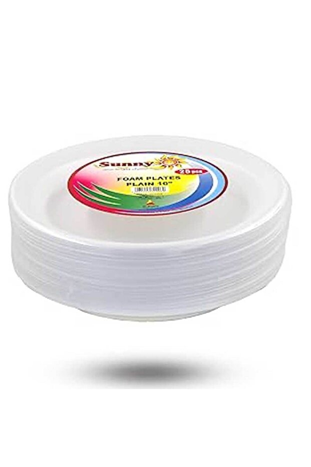 Plain White Disposable Insulation Paper Foam Party Plates (10 Inch)