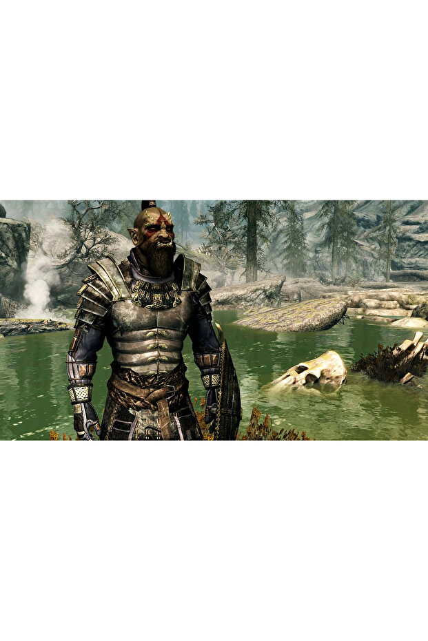 THE ELDER SCROLLS V: SKYRIM - SWITCH - 3