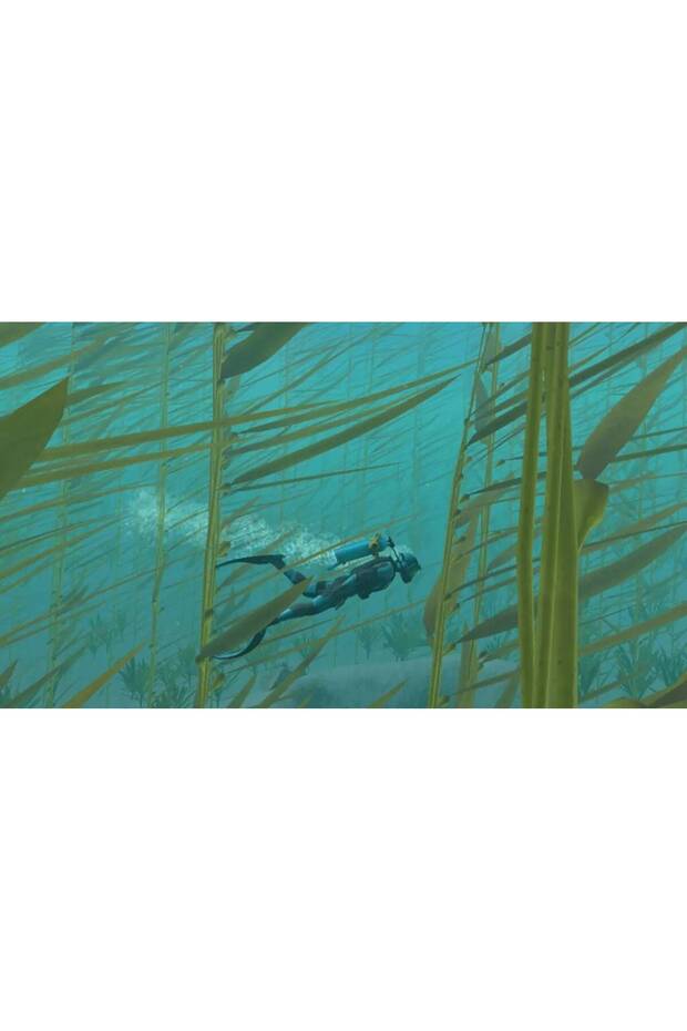 Endless Ocean Luminous - Nintedo Switch - 7