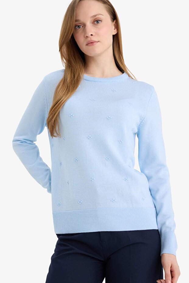 Regular Fit Crew Neck Knitwear Sweater F4084Ax25Wn
