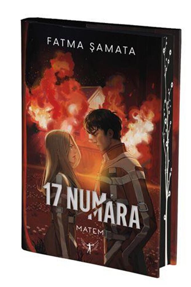 17 Numara Matem