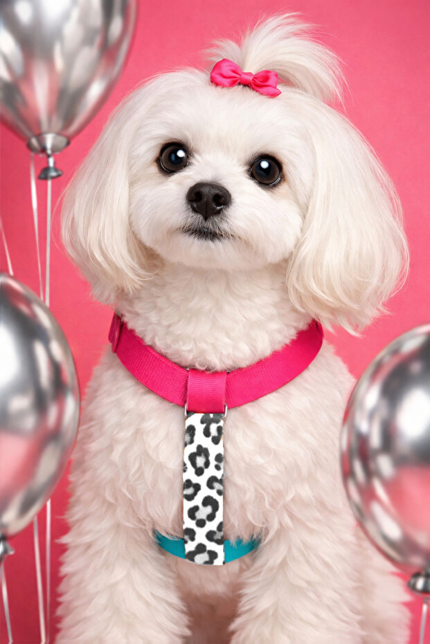 MOOD PAW Sugar Mood Çekiştirme Önleyici Ayarlanabilir H Tipi Köpek Göğüs Tasması