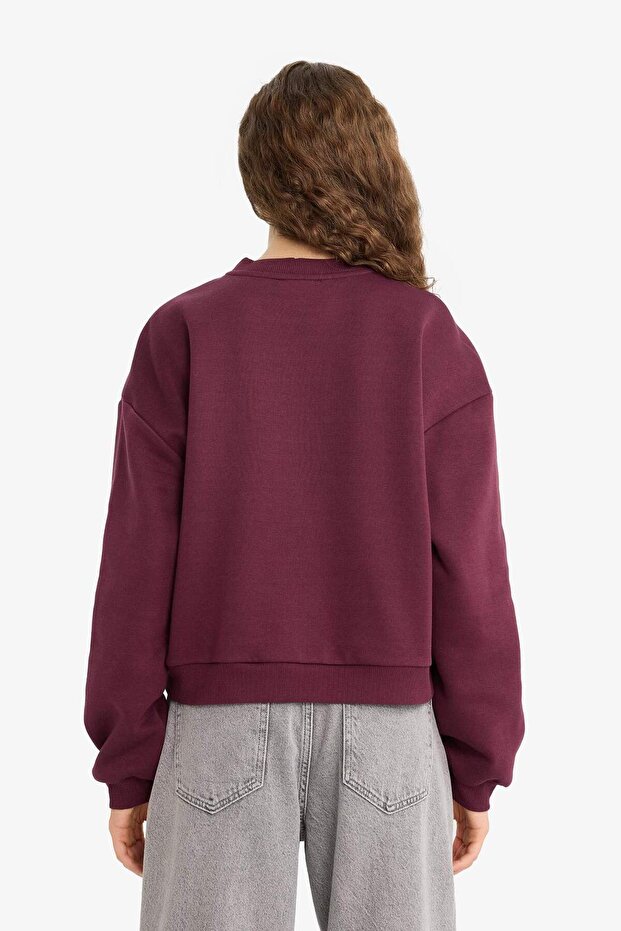 Kalın Basıc Sweatshirt D6645AX25WN - 6
