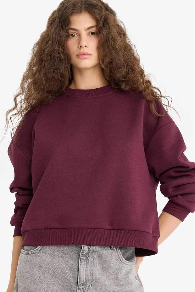 Kalın Basıc Sweatshirt D6645AX25WN - 1