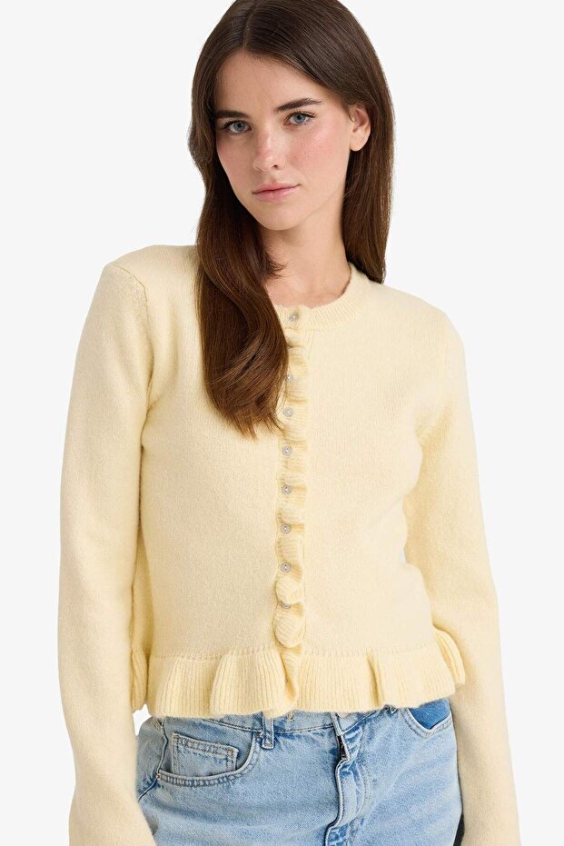 Regular Fit Crew Neck Knitwear Cardigan F3888Ax25Wn