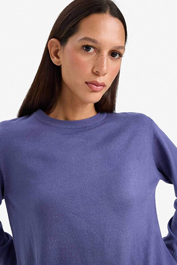 Regular Fit Pullover mit weicher Textur und Rundhalsausschnitt, Basic-Strickpullover C0058AX25WN - 4