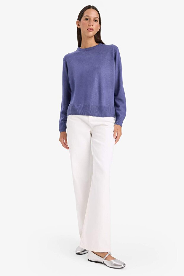 Regular Fit Pullover mit weicher Textur und Rundhalsausschnitt, Basic-Strickpullover C0058AX25WN - 2
