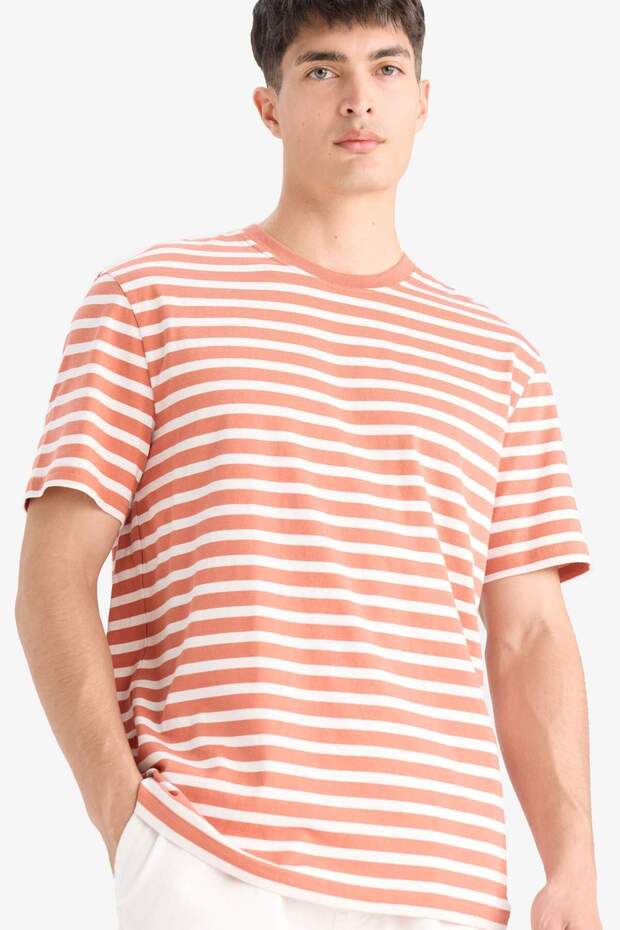 100% Cotton Regular Fit Crew Neck Short Sleeve Striped T-Shirt E2637Ax25Sm