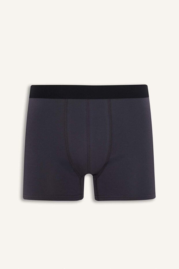 Regular Fit 3lü Boxer E7208AX25SM - 2