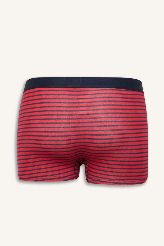 Regular Fit 3lü Boxer E1120AX25SP - 3