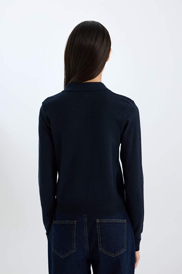Basic-Strickpullover mit regulärer Passform und Polokragen D6259AX25SP - 7