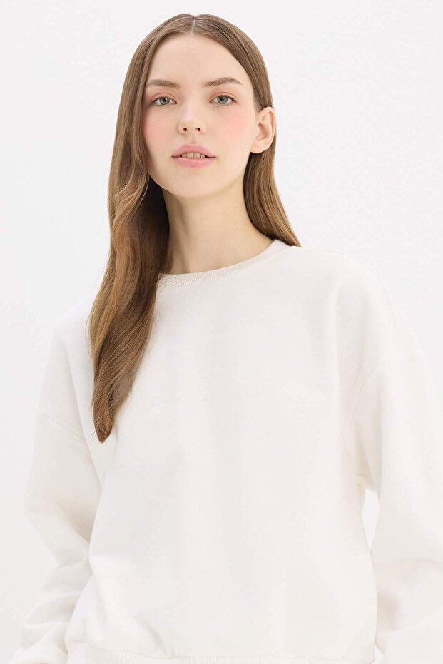 Regular Fit Sweatshirt mit Rundhalsausschnitt, dick, einfarbig, Basic D6645AX25SP - 1