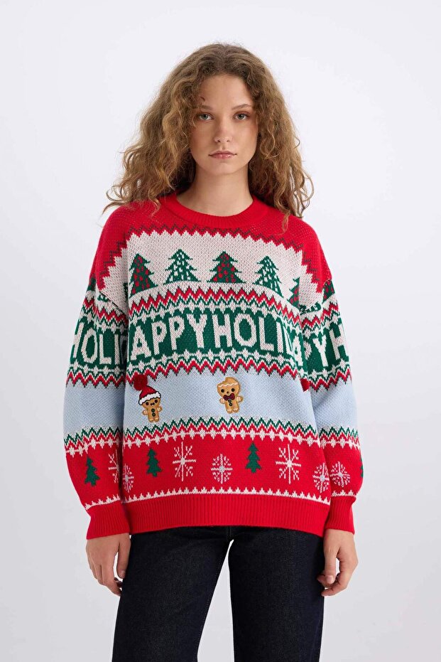 Christmas Themed Crew Neck Knitwear Sweater D1116Ax24Cw
