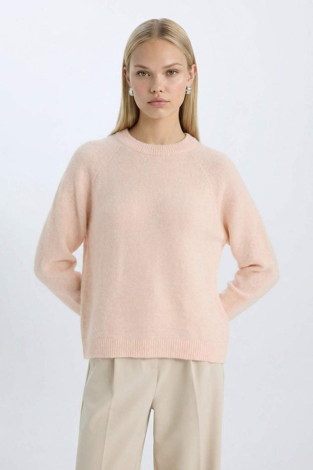 Regular Fit Crew Neck Knitwear Sweater D0035Ax24Wn