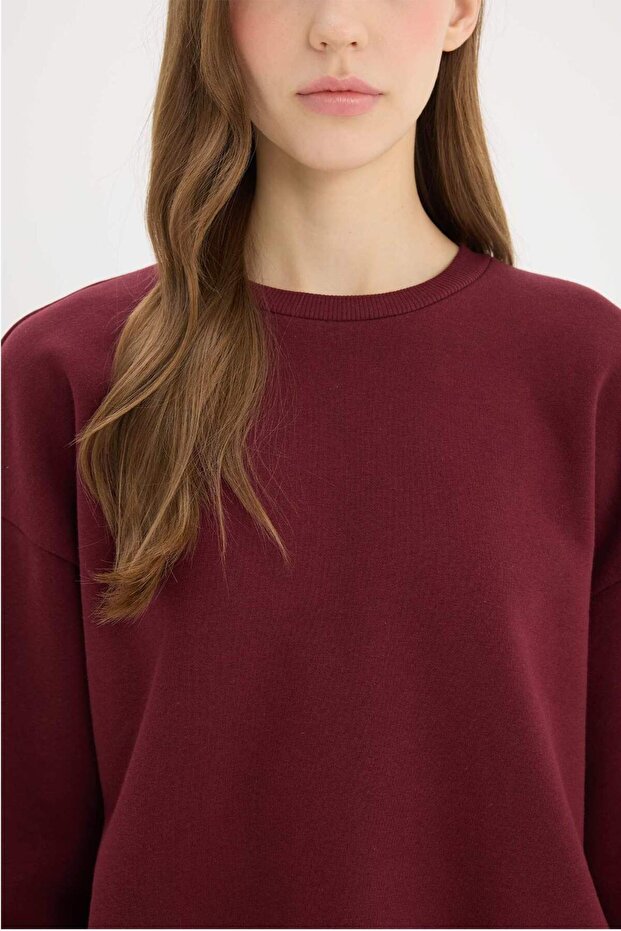 Regular Fit Bisiklet Yaka Kalın Basic Düz Sweatshirt D6645AX24WN - 5