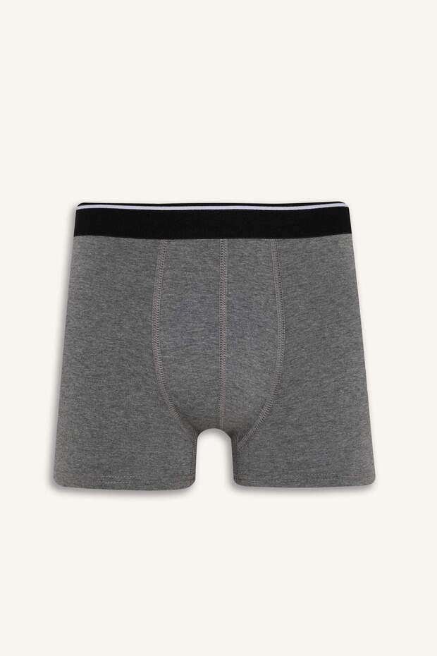 Regular Fit 3-Pack Boxer E0116Ax24Au - 6