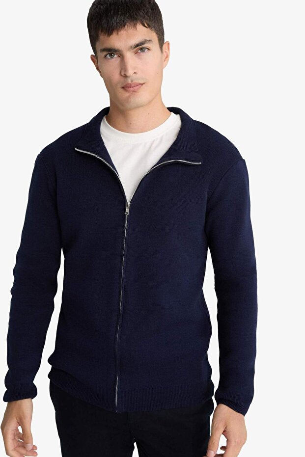 Standard Fit Normal Cut Stand Collar Zippered Knitwear Cardigan C8158Ax24Au