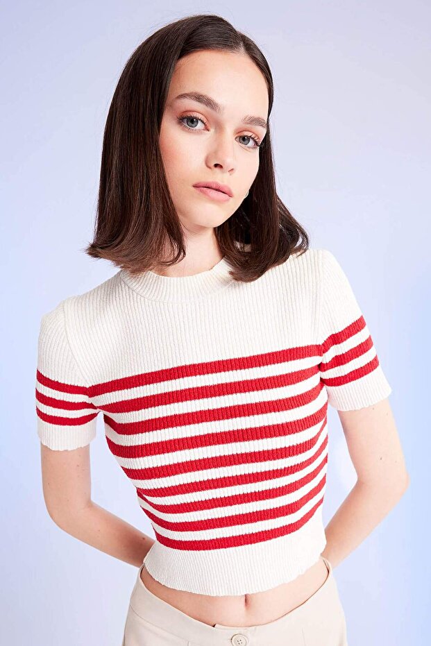 Slim Fit Slim Fit Striped Crew Neck Short Sleeve Knitwear Sweater D4619Ax24Au