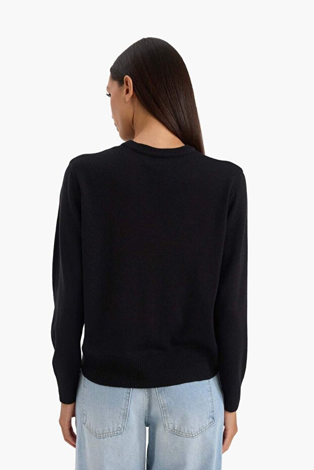 Regular Fit Pullover mit weicher Textur und Rundhalsausschnitt, Basic-Strickpullover C0058AX24WN - 4