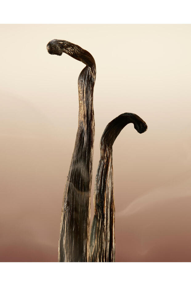 Goddess EDP 100 ml Kadın Parfüm - 8