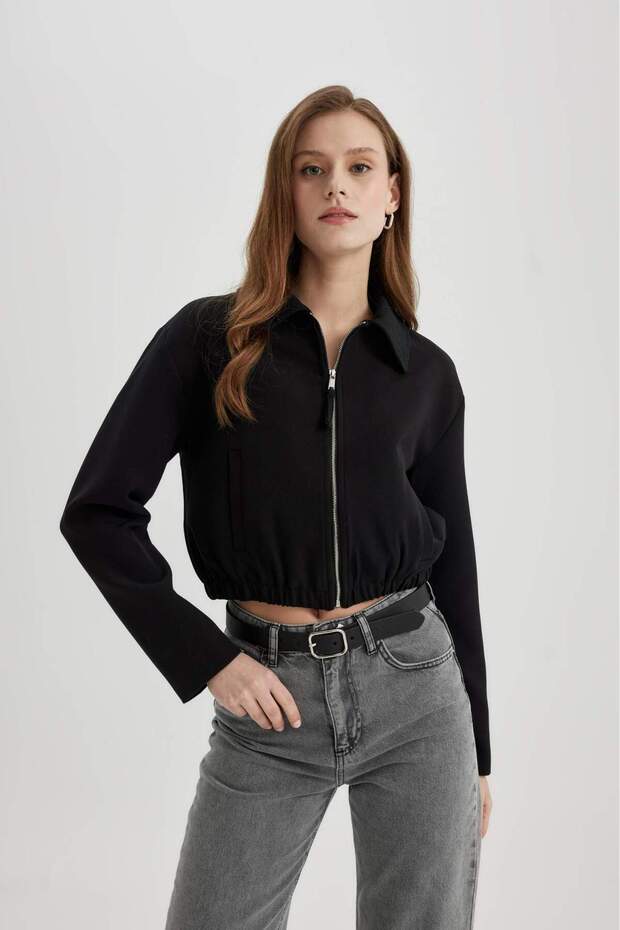 Shirt Collar Basic Plain Zippered Pocket Bomber Jacket B9422Ax24Sp