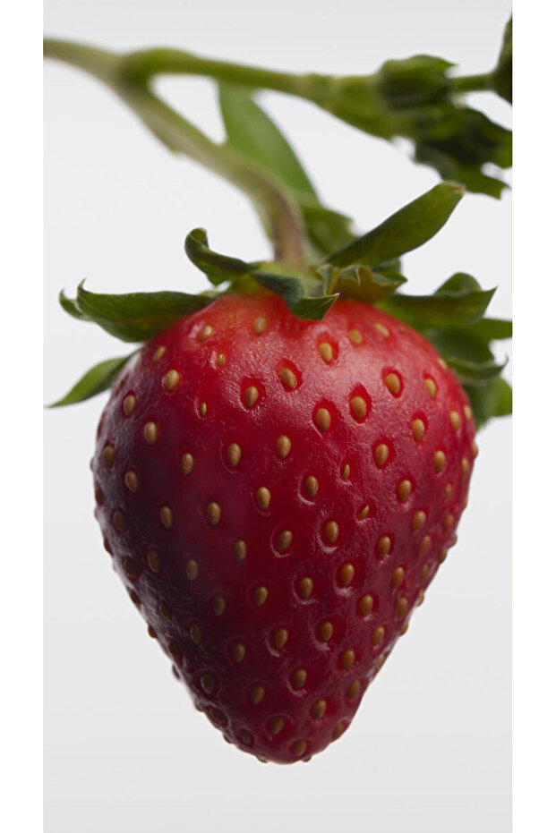 Her EDP Intense 50 ml Kadın Parfüm - 8