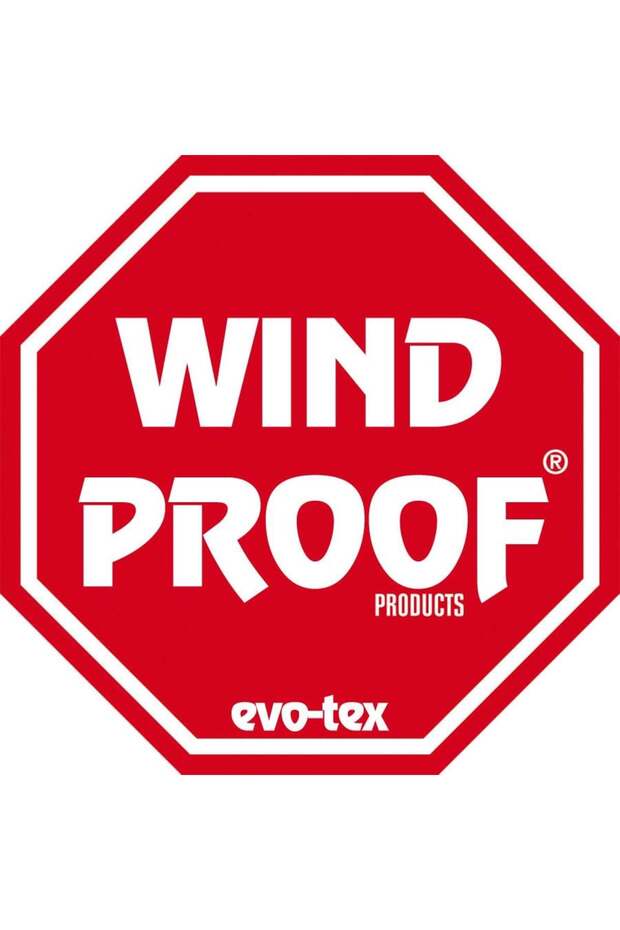 Kadın Blackhole Softshell Pantolon - 4