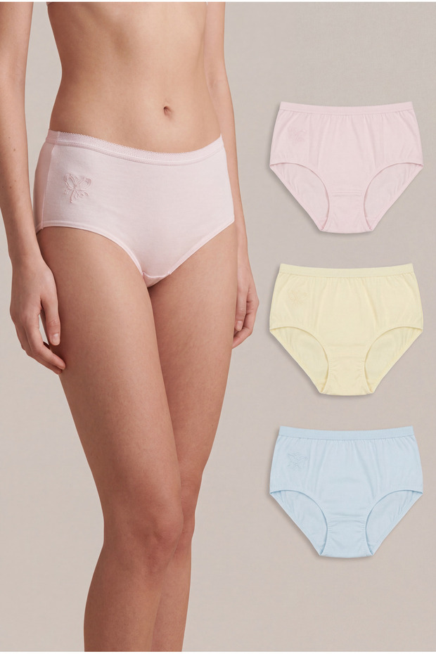 3-Pieces Plain Brief Panty Outer Elastic with Small Details of Embroidery