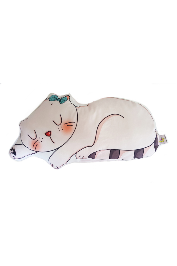 kedi misi