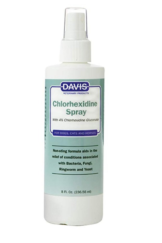 Spray Chlorhexidine 4 % 236 ml