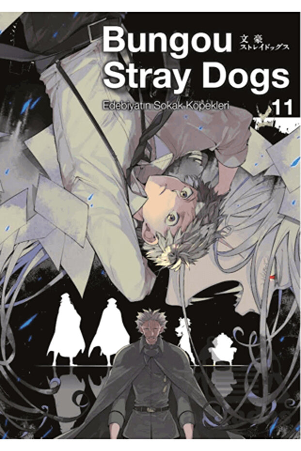 Bungou Stray Dogs 11
