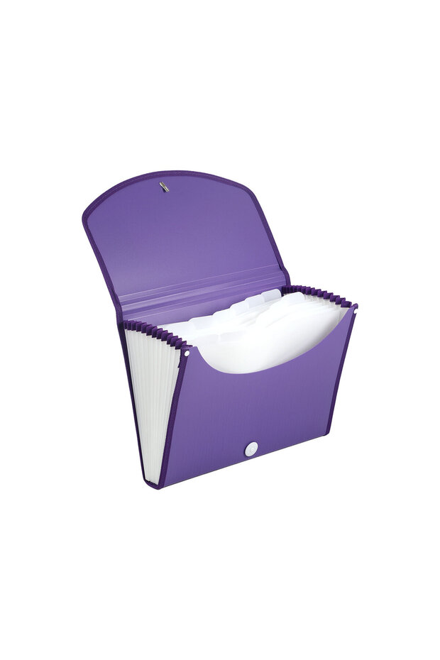 Expanding File - Violet