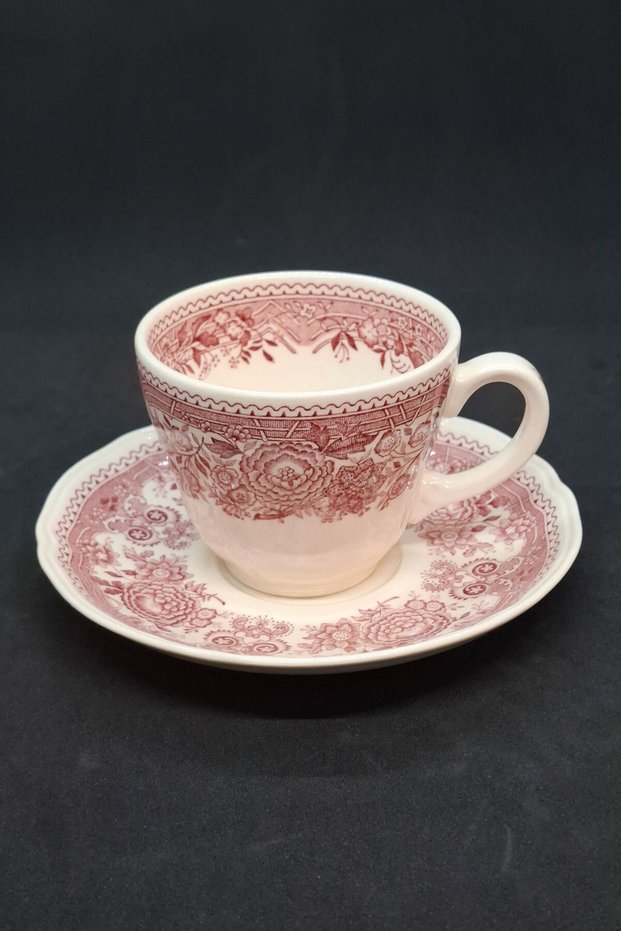 Burgenland Porcelain Antique Red Cup and Saucer