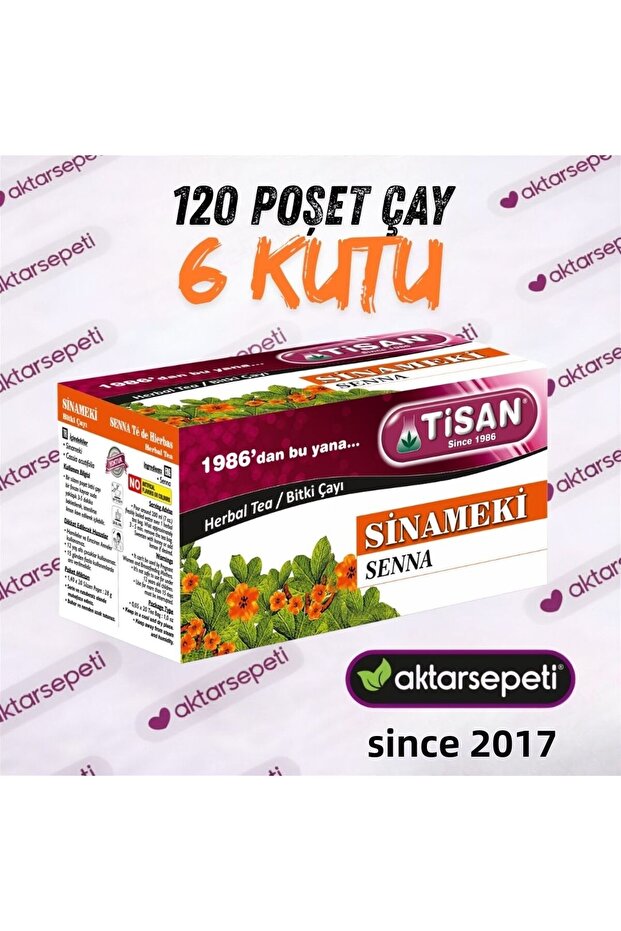 شاي السيناميك | 6 علب | 120 كيس شاي