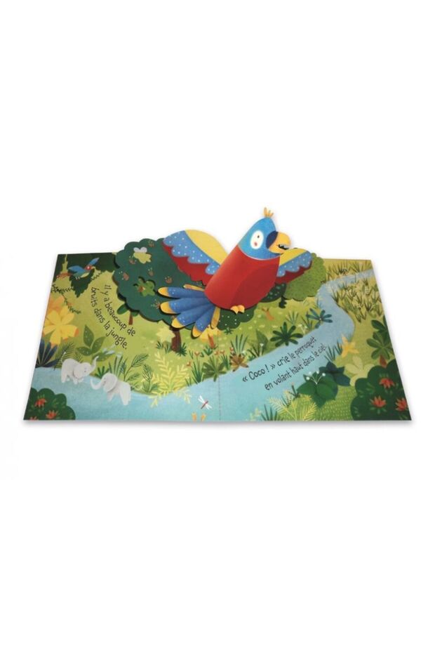 Pop-Up Jungle - 2