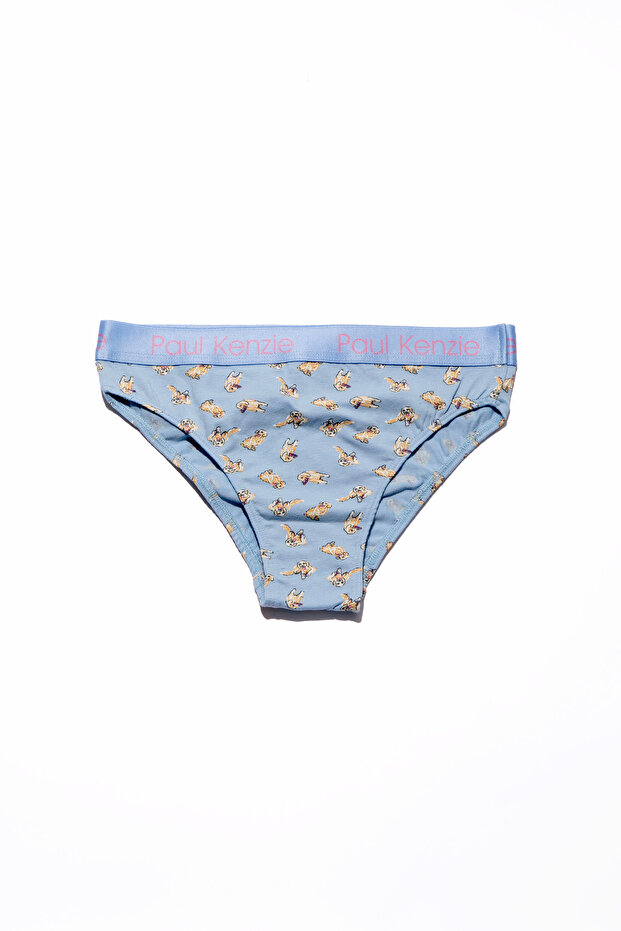 X Kurtaran Ev - Women's Slip Panties - Poppy