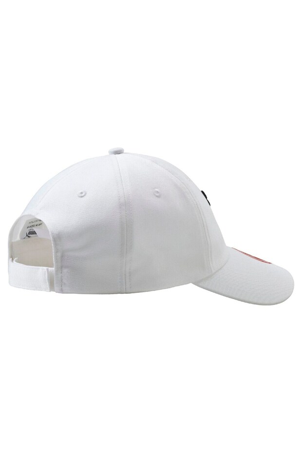 ESS Cap - 2