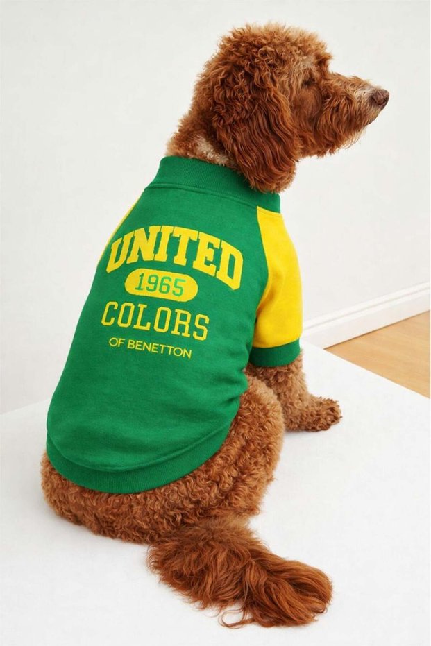 Bnt-S2504 Cat Dog Outfit Sweatshirt Green
