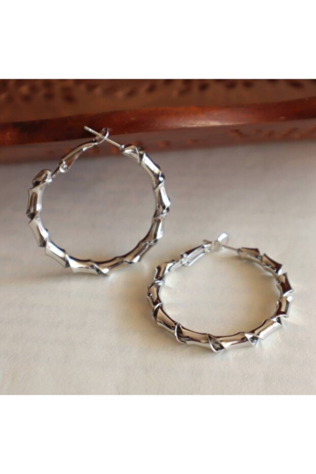 Stainless Steel Twisted Women's Earrings