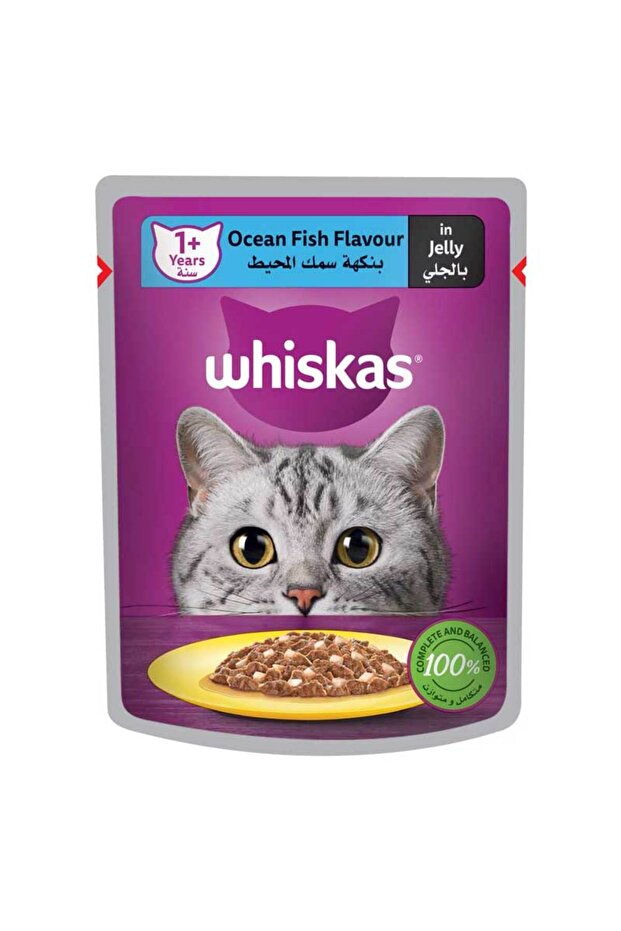 OCEAN FISH FLAVOUR 80GM