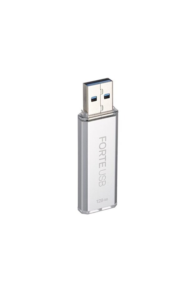 Forte 128Gb Hardware Based Password Protection USB Flash Drive