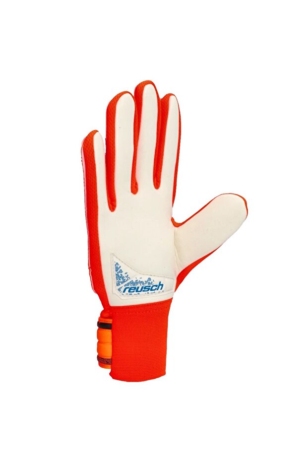 Kaleci Eldiveni Attrakt Starter - 2