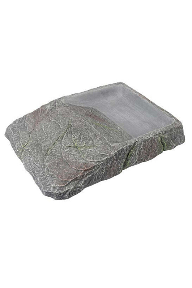 Turtle Dish