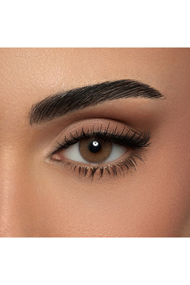 One Day Pure Hazel - 10 Lenses