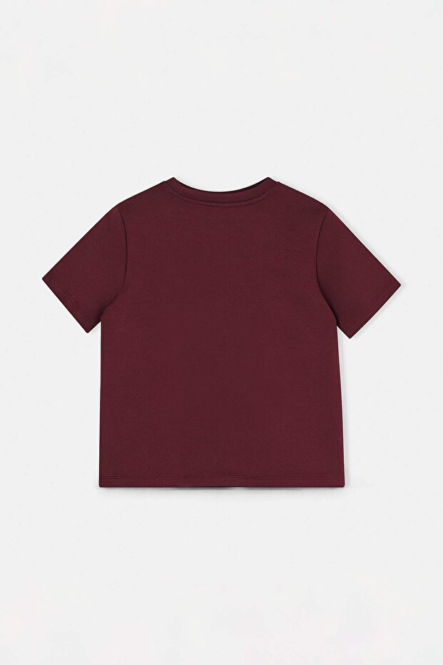 Bordo Düz Regular Bisiklet Yaka Standart Kol İnterlok Örme T-Shirt TWOSS26TS00064 - 7