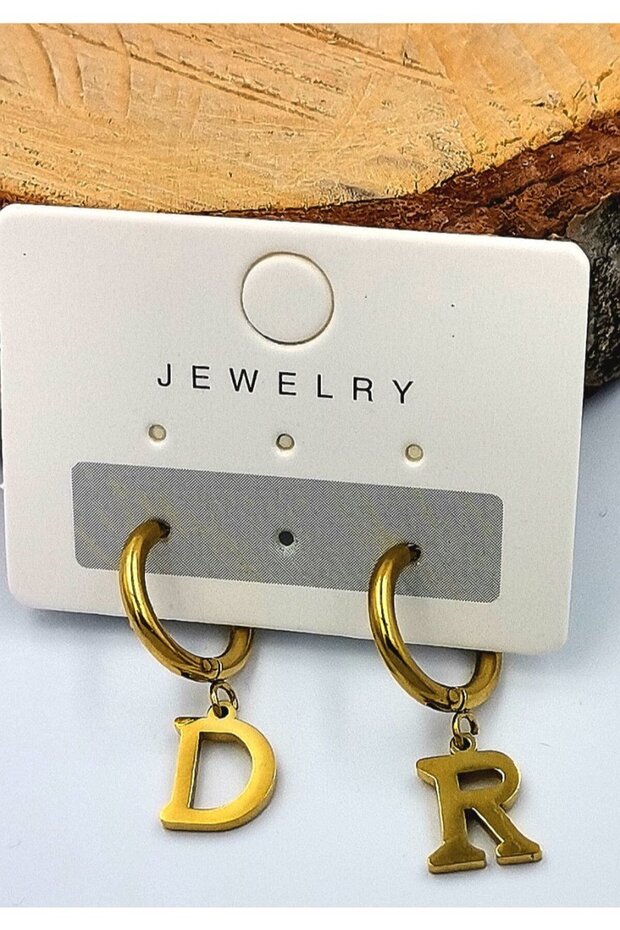 Zircon Stone Luxury Steel Earrings