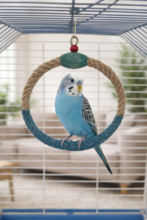 Muhabbet Jute Rope Round Swing (Blue)