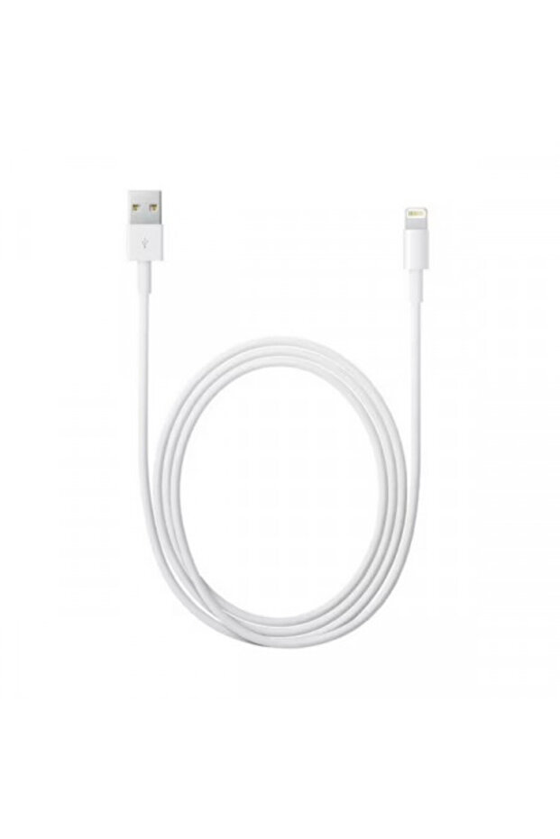 Cablu de date USB la iPhone 1 M