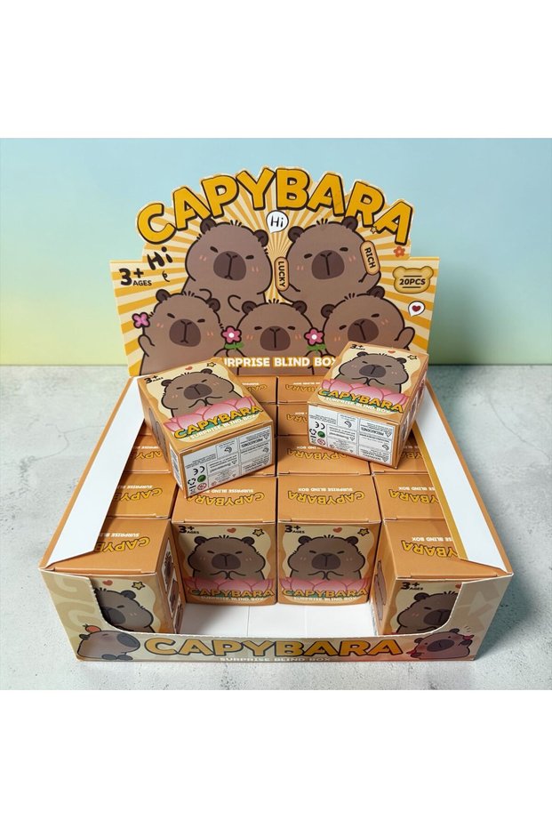 Capybara Surprise Boxed Keychain Multi-Colored