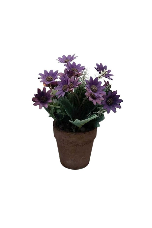 Maple Leaf Home Artificial Flower with Pot, 20 cm, Assorted